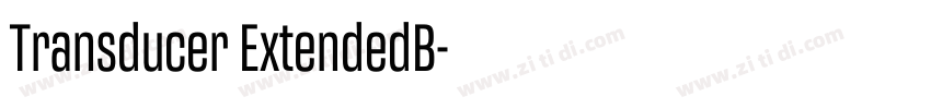 Transducer ExtendedB字体转换